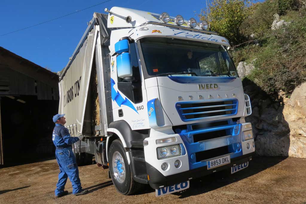 Picos de Europa Iveco Stralis