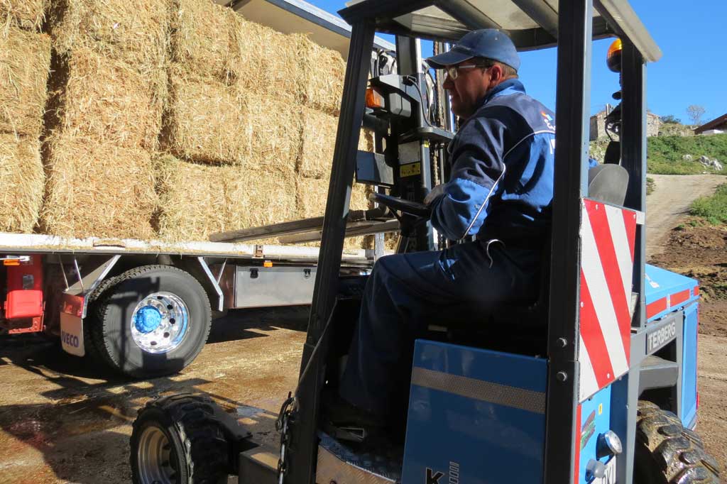 Picos de Europa Iveco Stralis