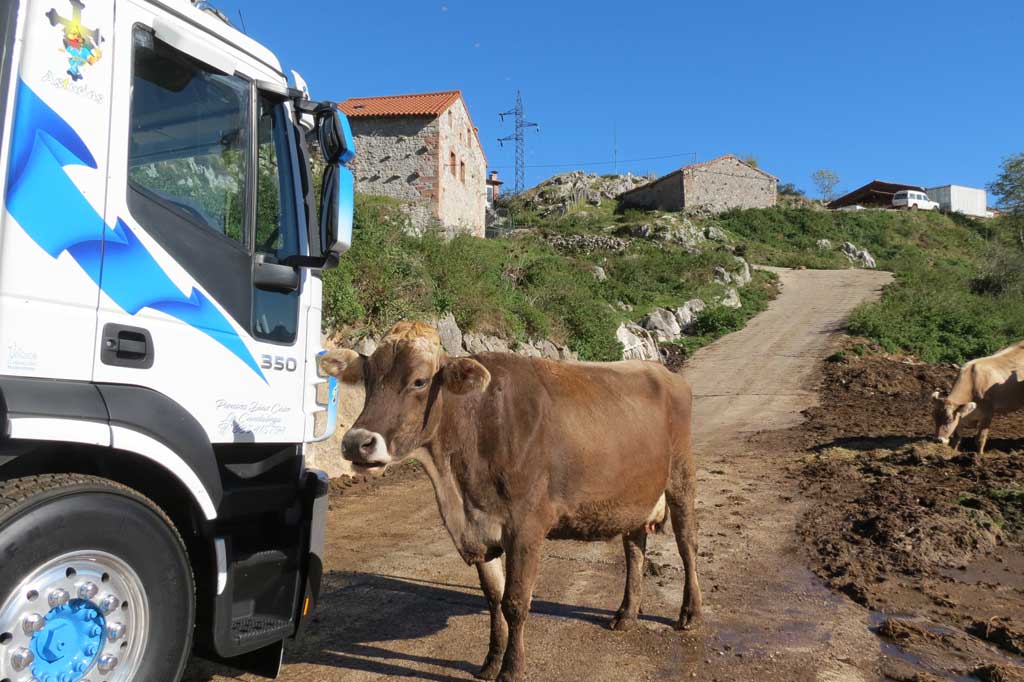 Picos de Europa Iveco Stralis