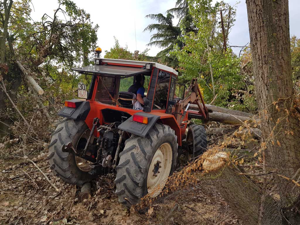 Transporte forestal