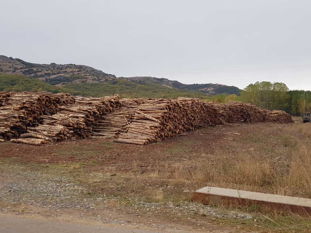 Transporte forestal