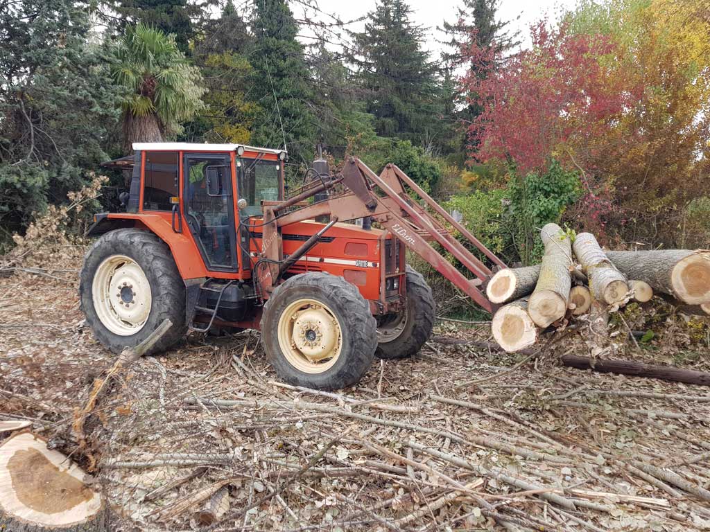 Transporte forestal