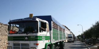 Vídeo desfile camiones clásicos concentración www.camionesclasicos.com 2011 Desfile de camiones clásicos en 2011 con Pegasos, Avia, Ebro, Barreiros...