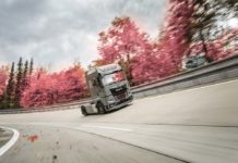 Individual Lion S el MAN TGX más exclusivo MAN TGX Individual Lion S.